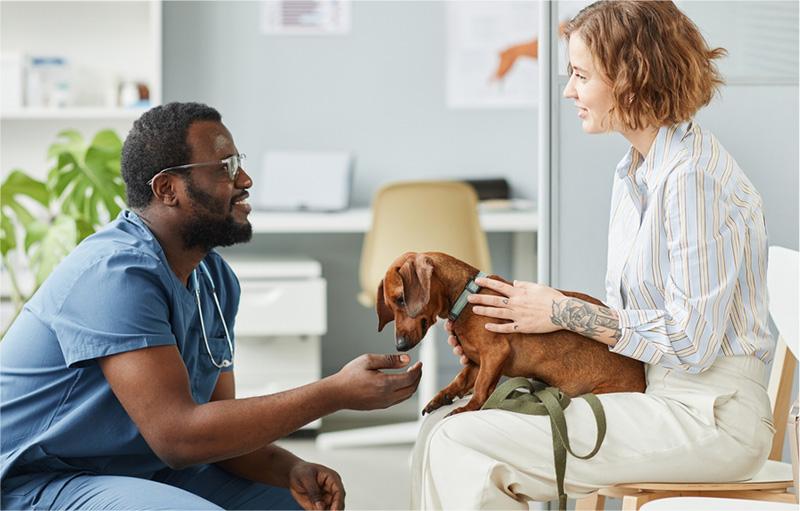 Woman with small dog on her lap talking to a veterinarian